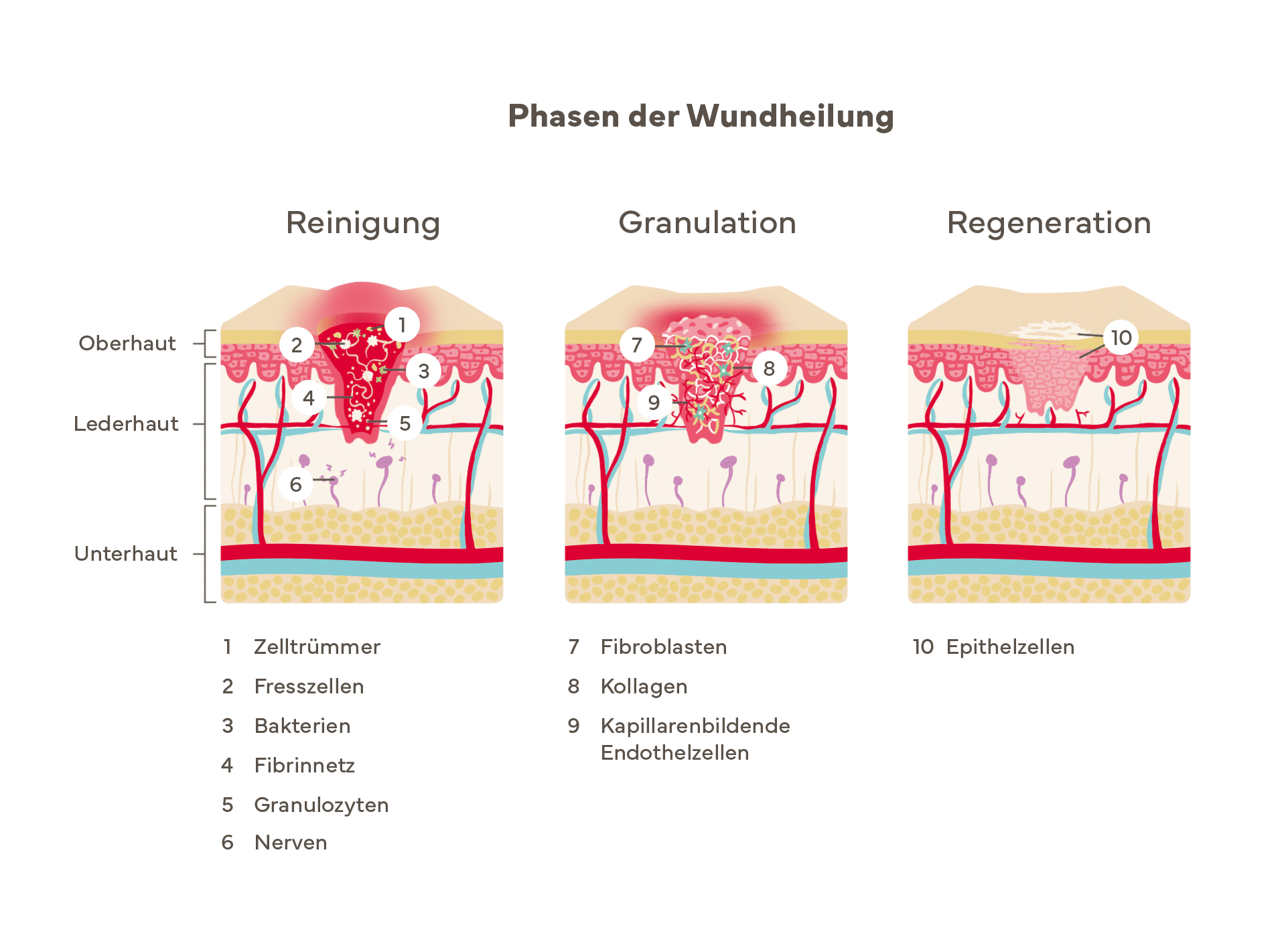 nach OP zu Hause
